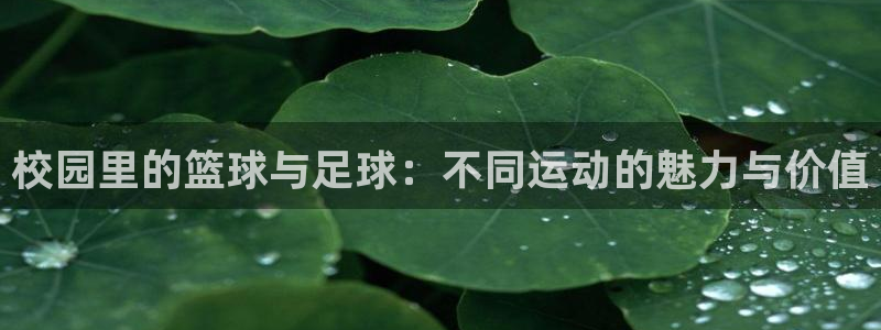 快体育五大联赛直播
