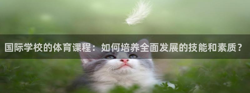 快体育足球篮球五大联赛24小时实时直播：国际学校的体育课程：如何培养全面发展的技能和素质？